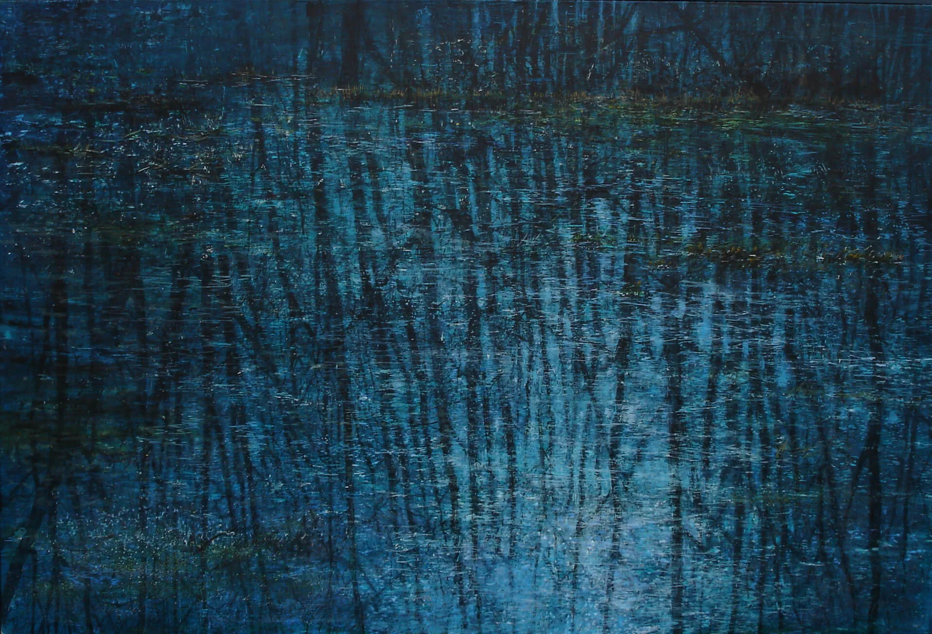 “Forest Lake Draft” 2005