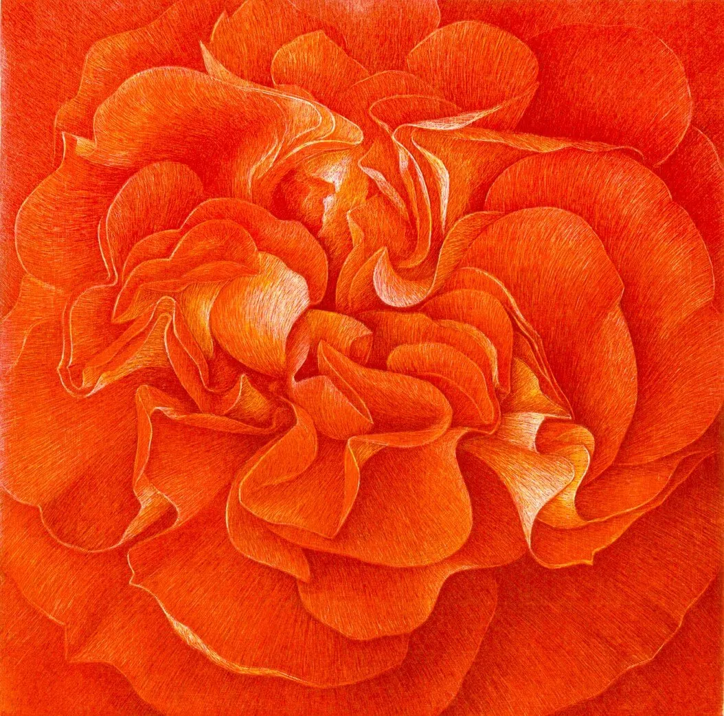 “Donum Dei” (Rose Brothers Grimm) 2005