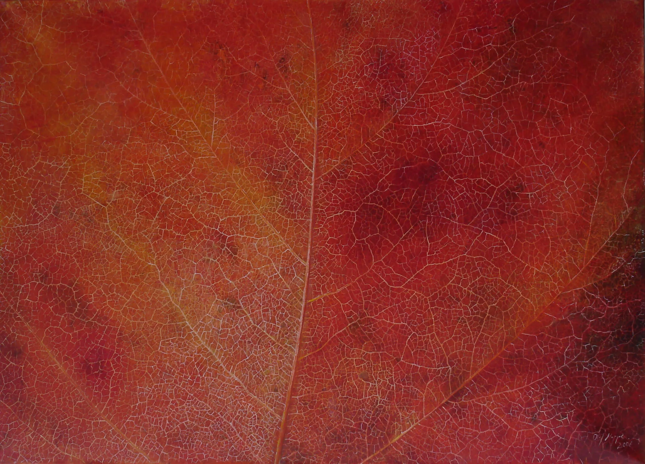 “Deuteronmium” 2005