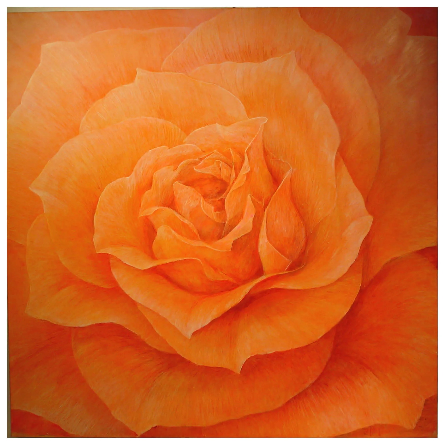 “Rose Fellowship” 2005