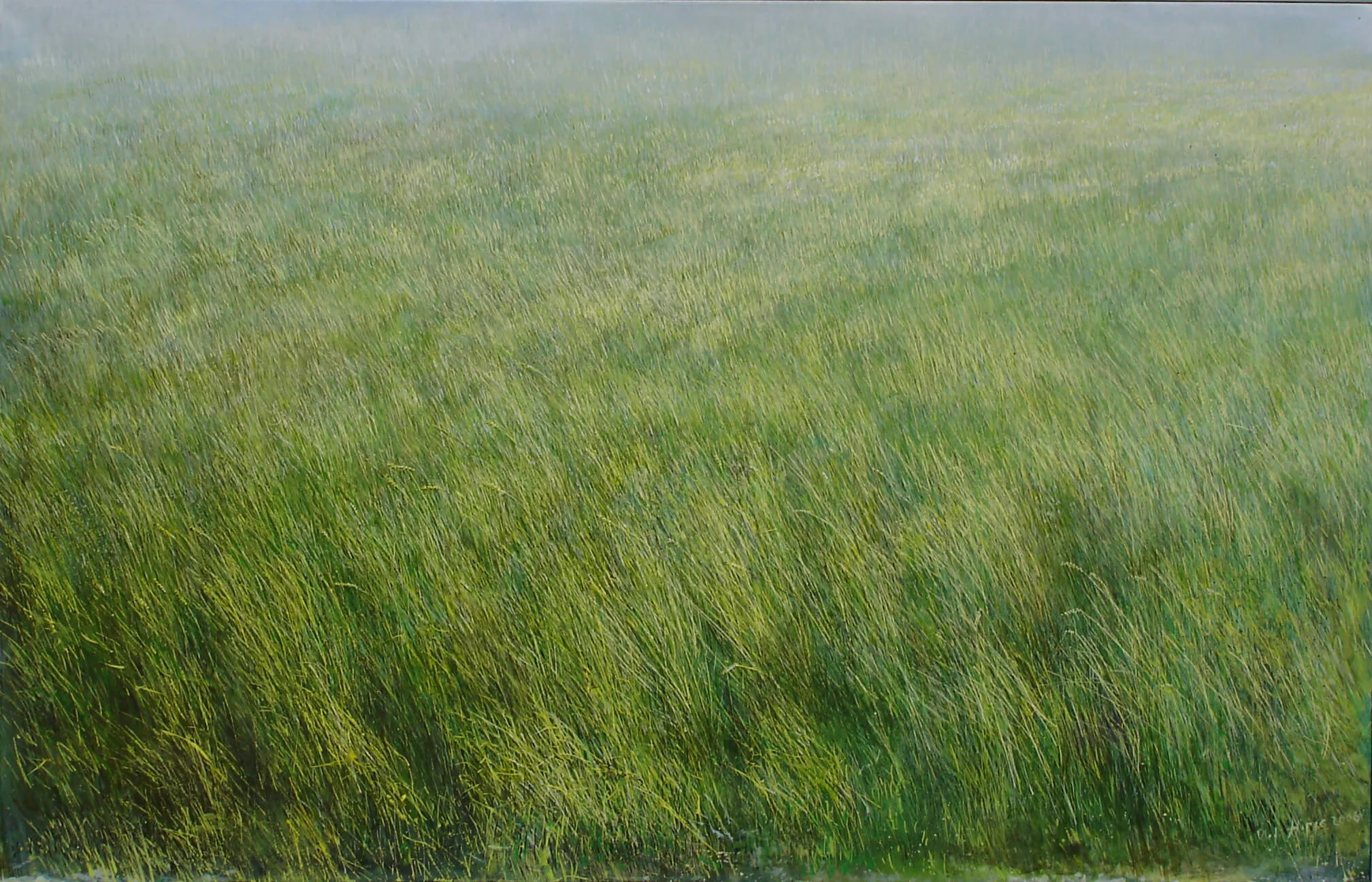 “Land in the Morning” 2006