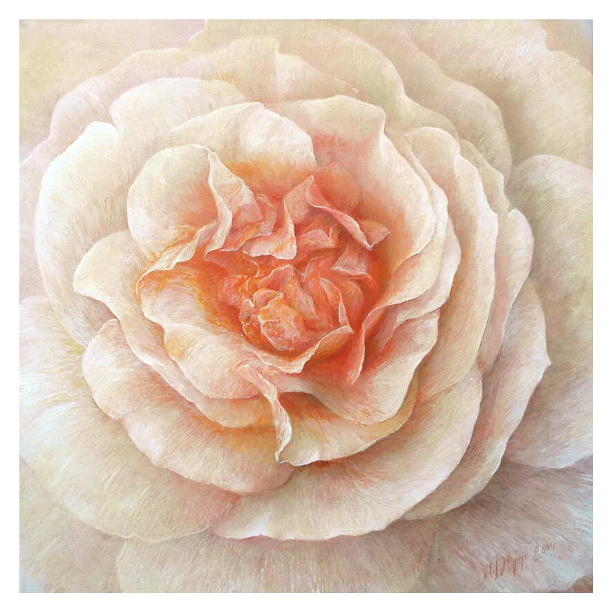 “Rose Sangerhäuser Anniversary Rose” 2006