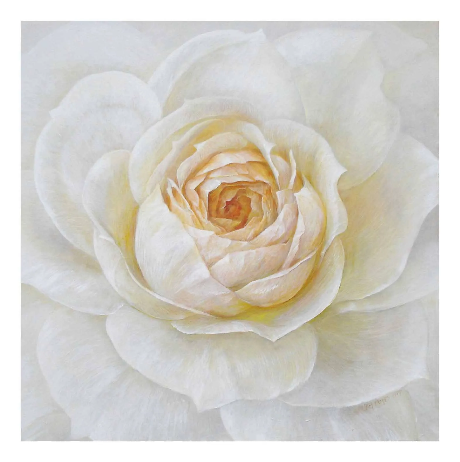 “Lions Rose 3”
