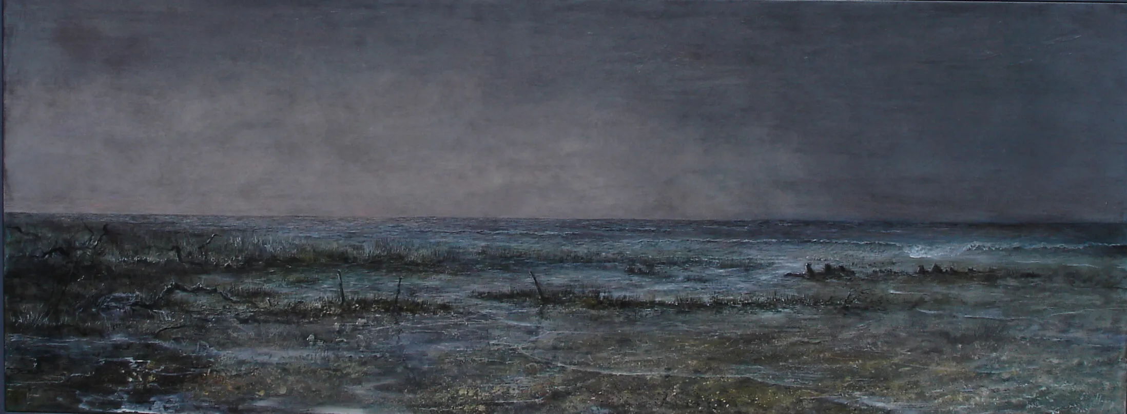 “Salt marsh northern lights” 2010