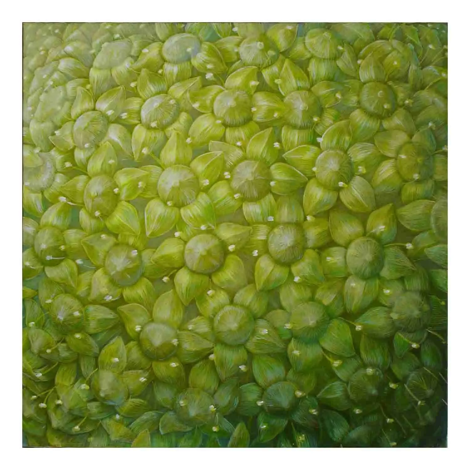 “Genesis (Ivy)”