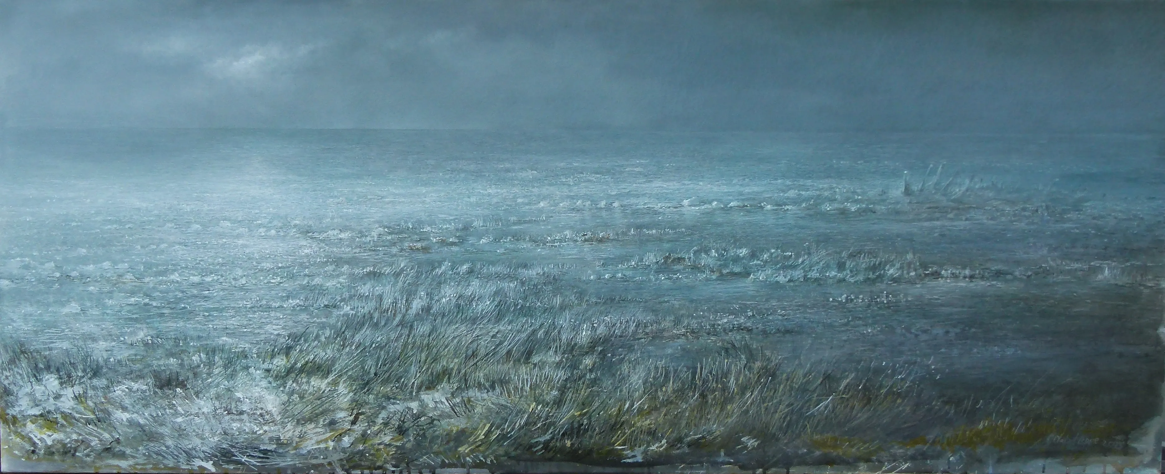 “Ice meadow” 2013