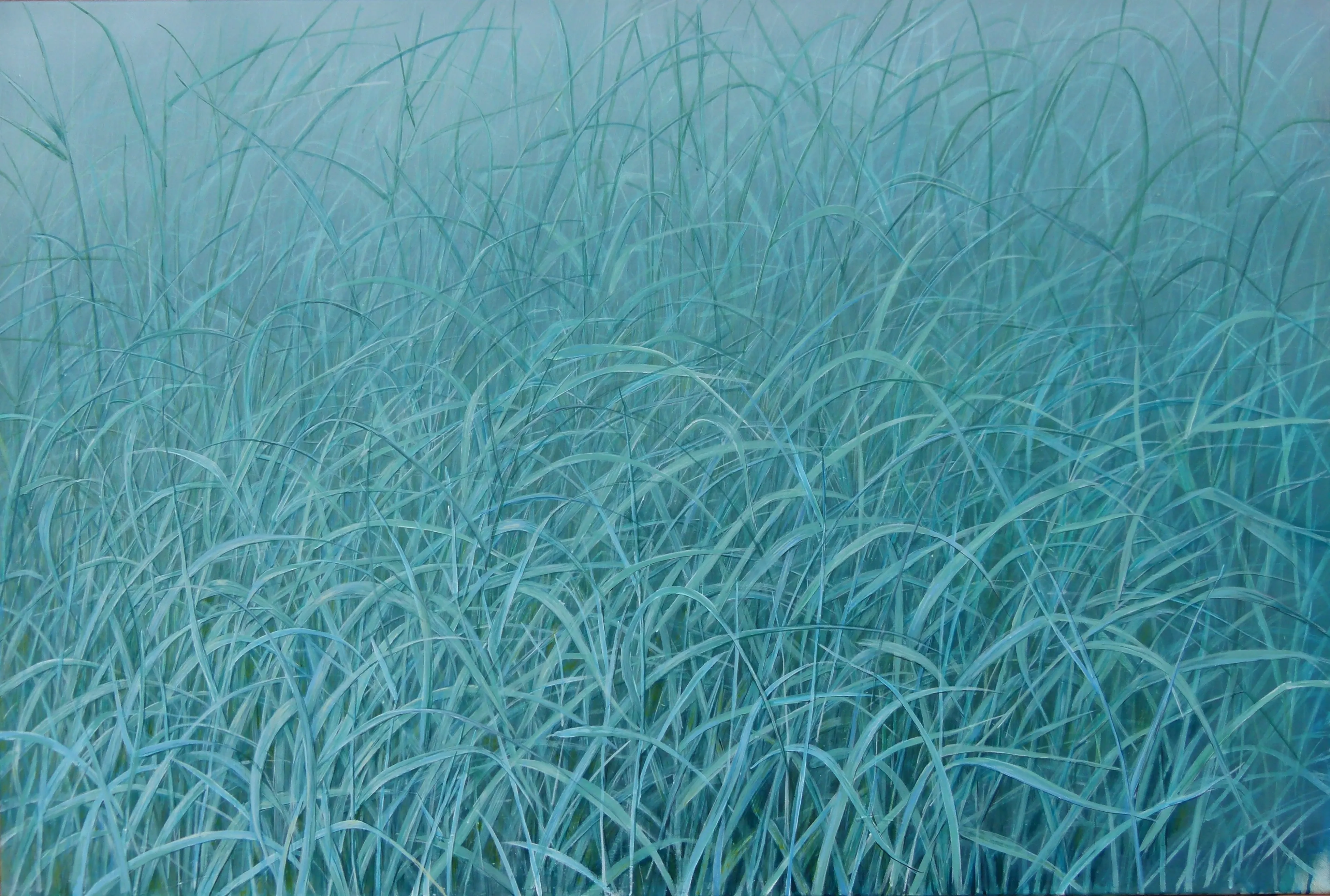 “Seaweed” 2013