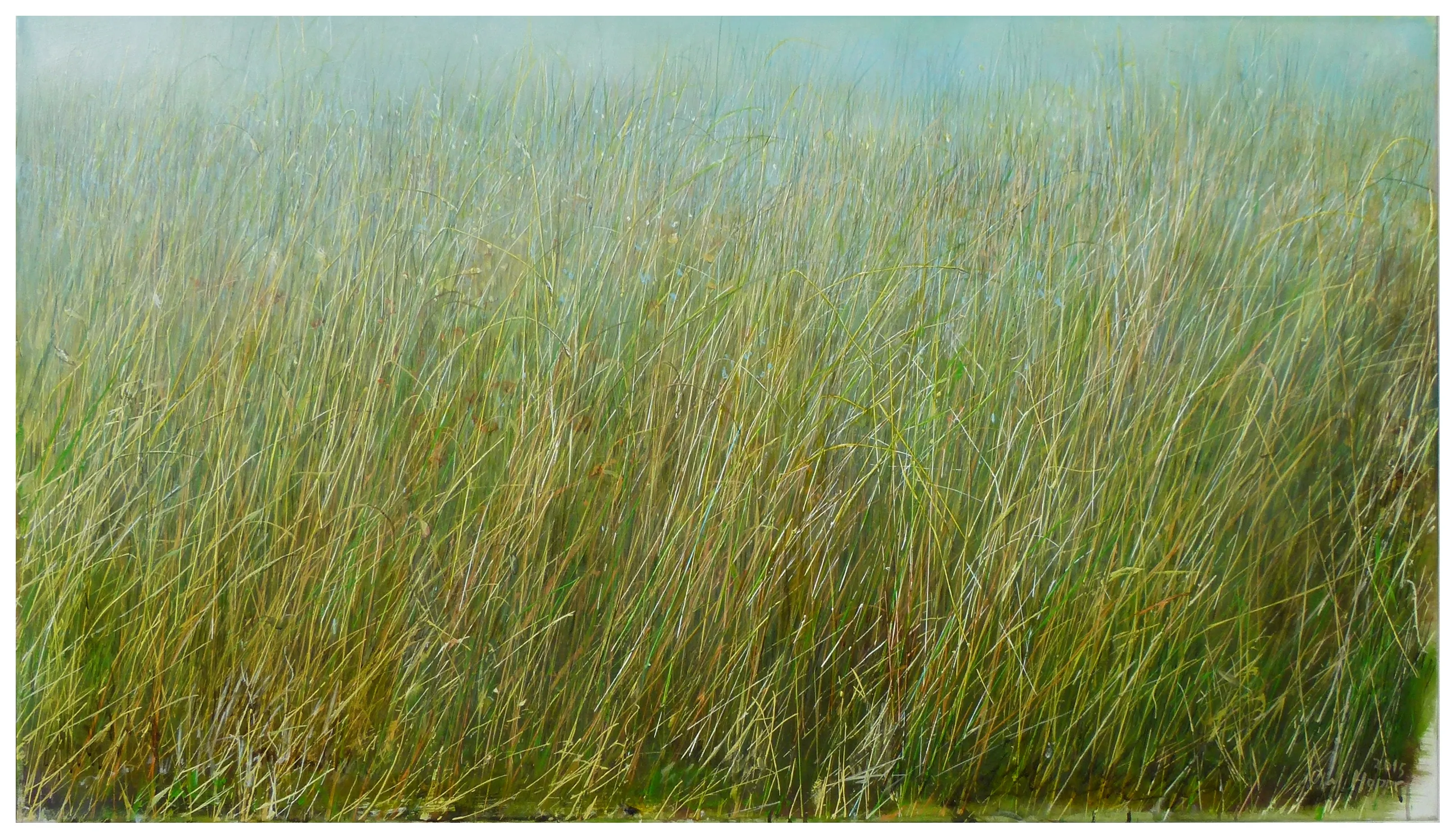 “Grassland” 2015