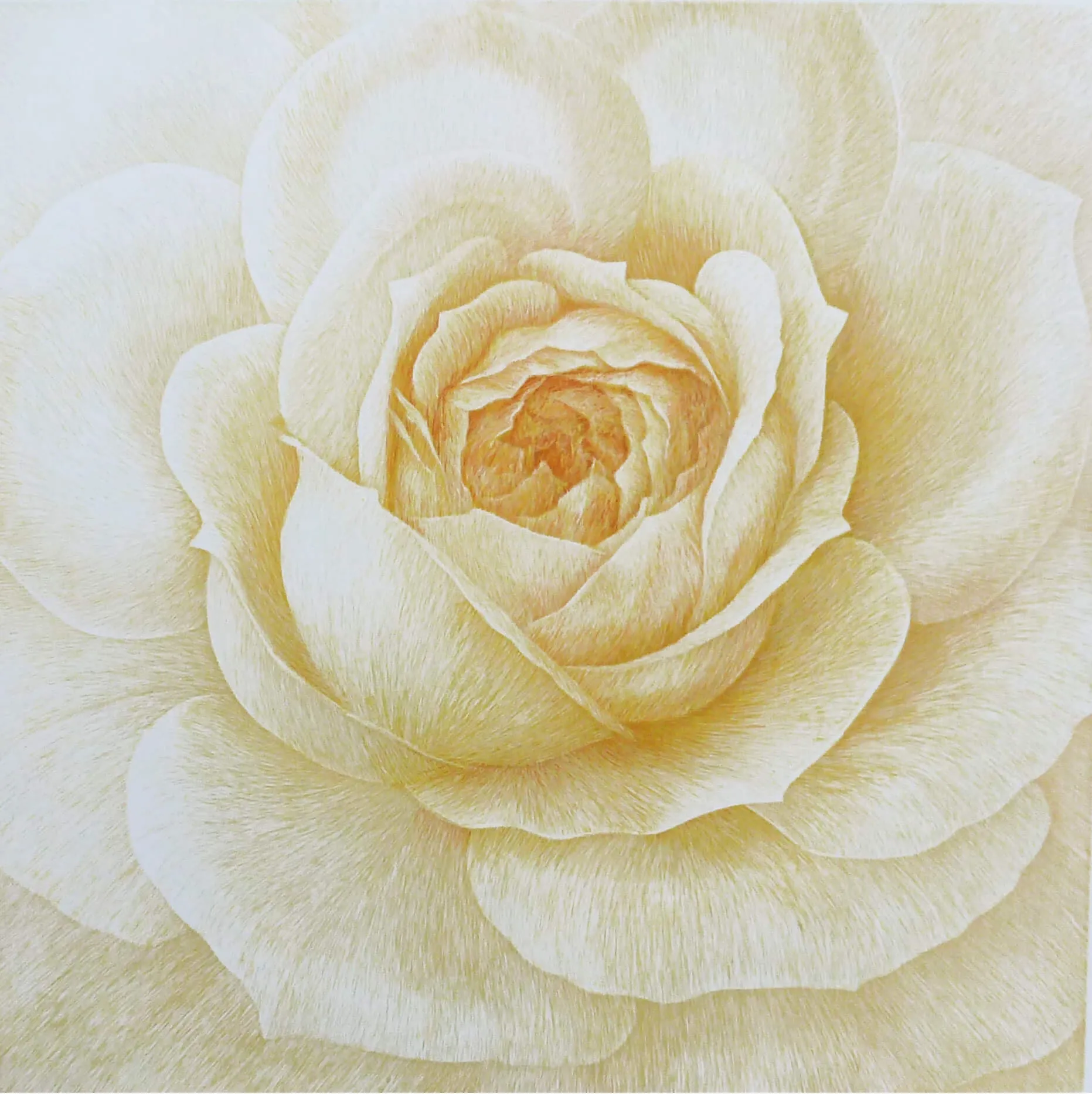 “Donum Dei” (Lions Rose) 2004