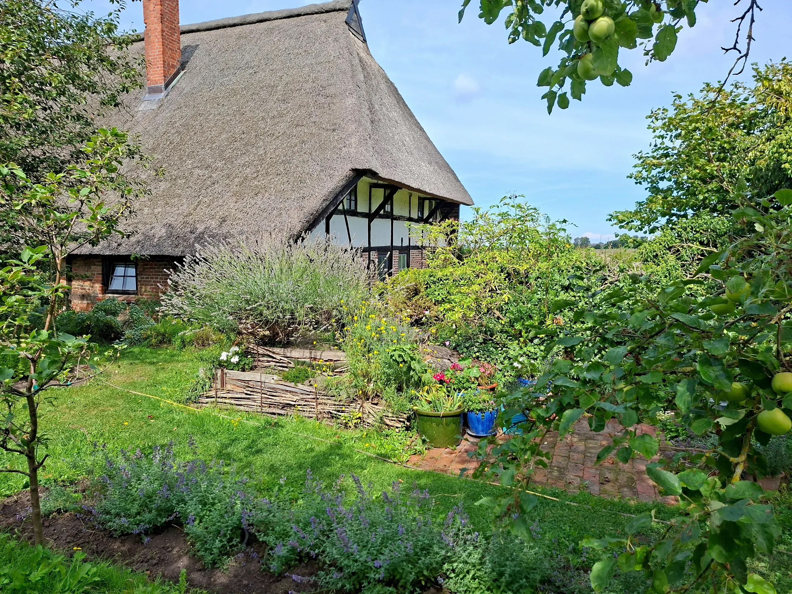 Cottage garden with blooming beds in front of the thatched timber-framed house