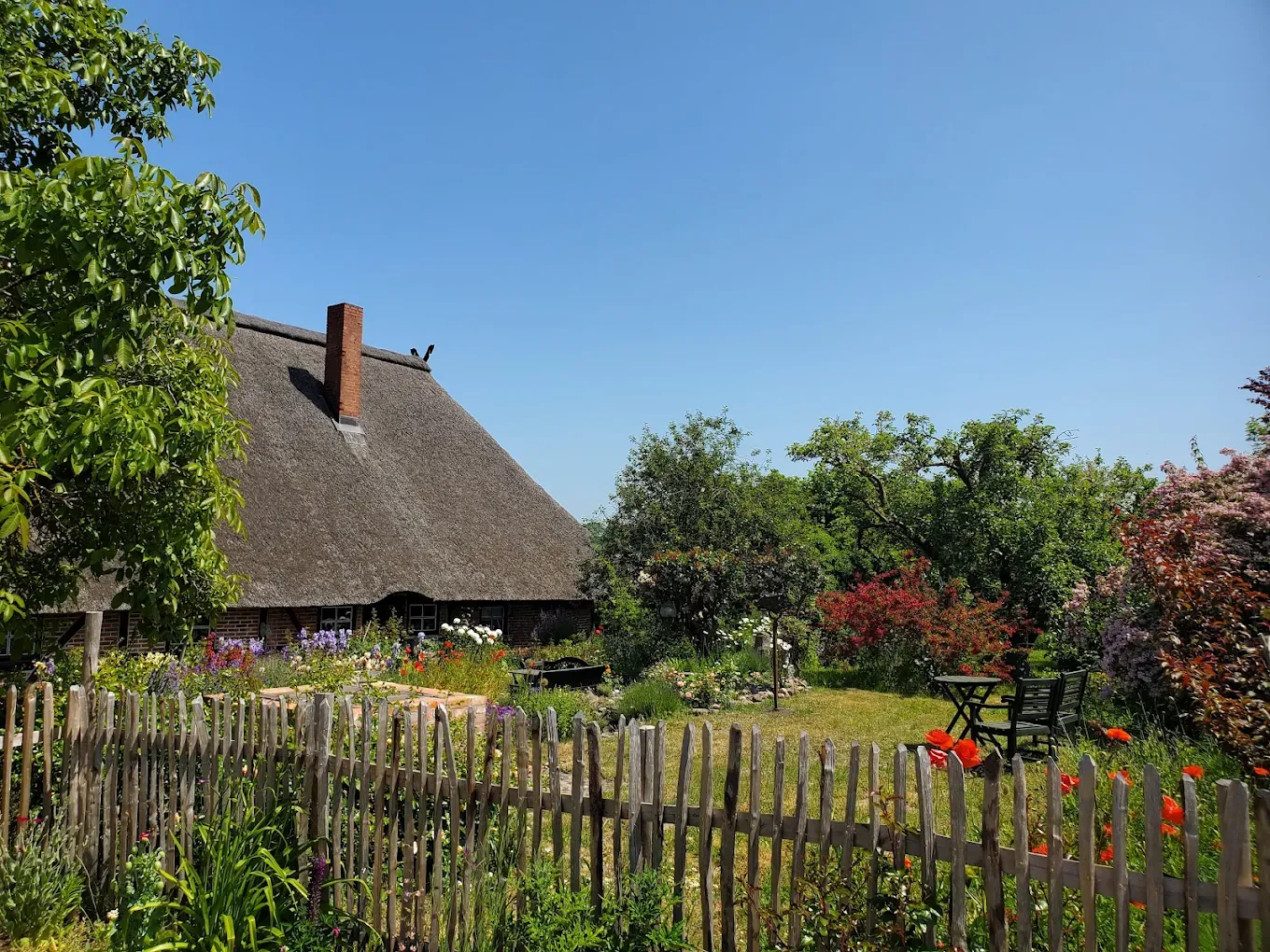 Cottage garden with blooming beds in front of the thatched house