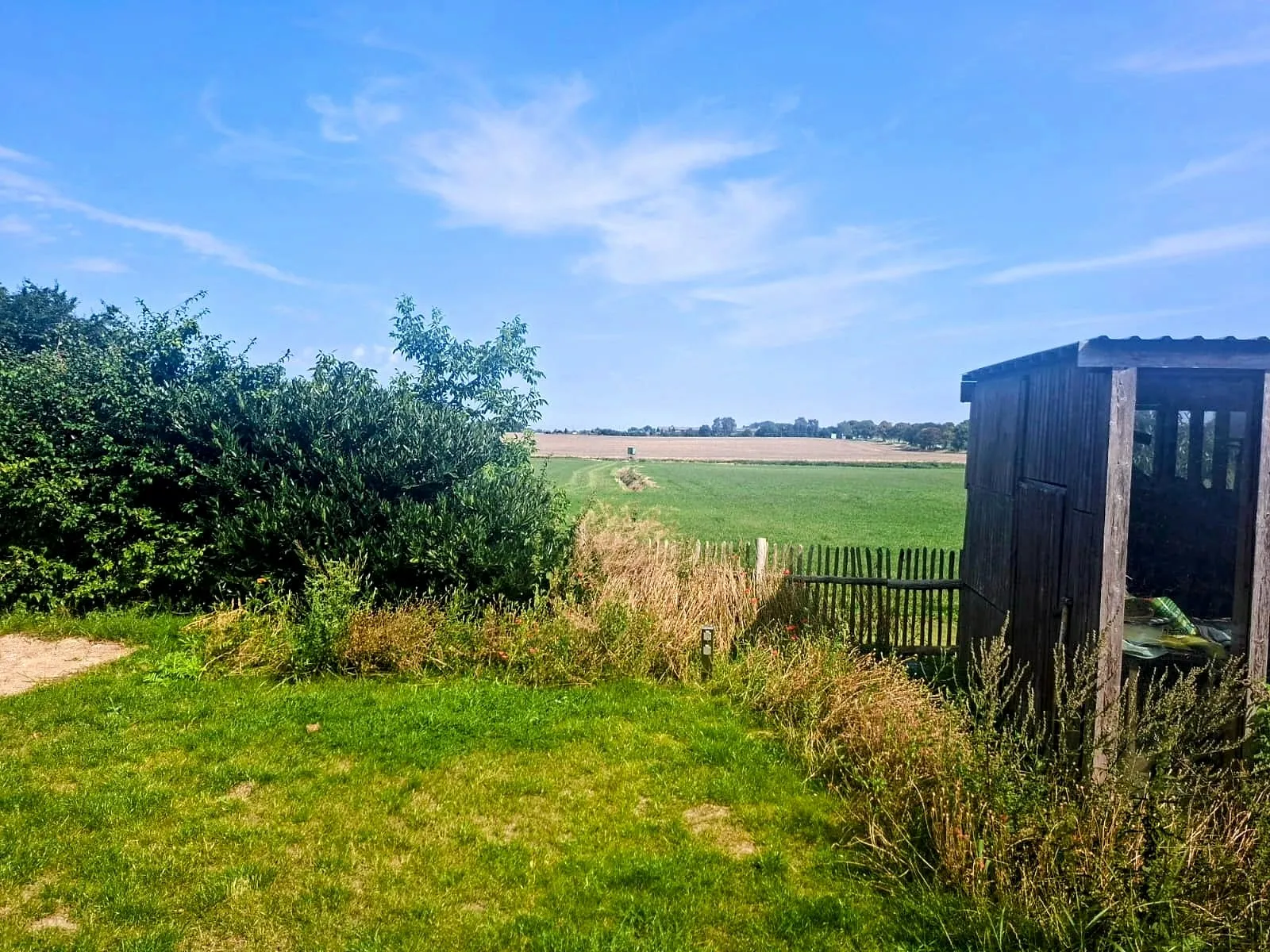 Small meadow at the pitch with a view over open fields, a wooden shelter on the right and a small power pedestal in the grass